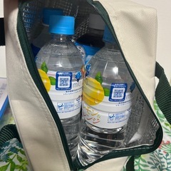  美品！Coleman 保冷バッグの画像