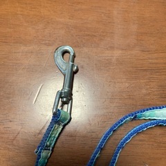 犬用　リードの画像