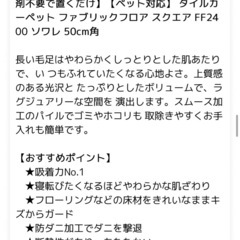 フロアマット12枚の画像