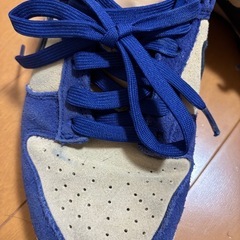 Nike WMNS Dunk Low "Blue Suede" 24.5インチの画像
