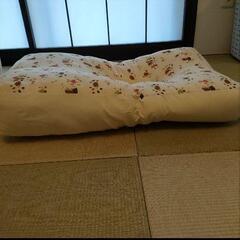 【直接お渡し限定】トコちゃんベルト　青葉　天使の寝床 【おひなまき】 セットの画像