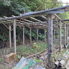 木注の画像