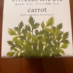 carrot キャロット 人参おうちで簡単栽培キット 植物 育てる 野菜の画像