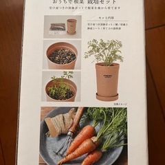 carrot キャロット 人参おうちで簡単栽培キット 植物 育てる 野菜の画像