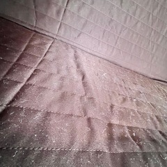ソファーベッドの画像