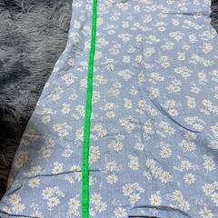 ワンピースの画像
