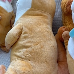 可愛い嘘のカワウソ プライズ ぬいぐるみ セット  の画像