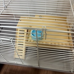 ハムスター飼育セットの画像
