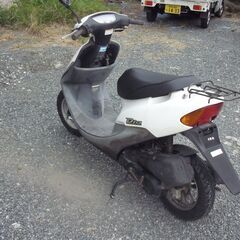 HONDA Live Dio ライブ ディオ  (AF34) ホワイトの画像