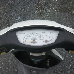 HONDA Live Dio ライブ ディオ  (AF34) ホワイトの画像