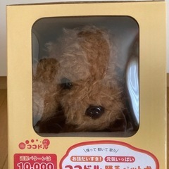 【新品】喋るトイプードルの画像