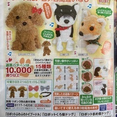 【新品】喋るトイプードルの画像