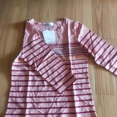 未使用　Tシャツ　Mサイズ　の画像