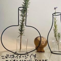 ブラックワイヤー花瓶（おまけ付き）の画像