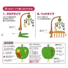 メリーの画像