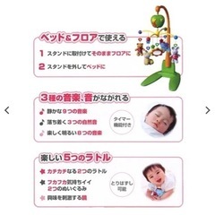 メリーの画像