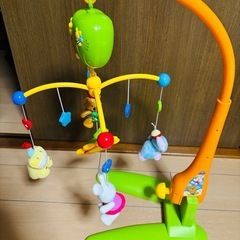 メリーの画像