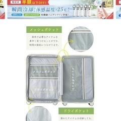 美品！充電器付きキャリーバッグの画像