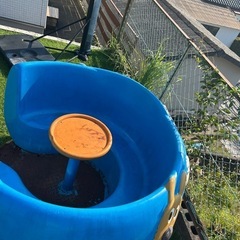 アンパンマン　遊具　公園　の画像
