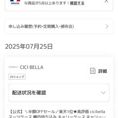 美品！充電器付きキャリーバッグの画像