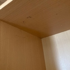 カラーボックスの画像