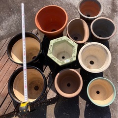 盆栽鉢、植木鉢各種10鉢、中古品、の画像