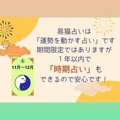 あなたの「人生の取扱説明書」 可愛い猫と読み解く、384通りの未来ヒントカード☆彡の画像