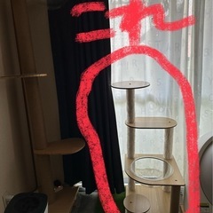 キャットタワー　小さめの画像