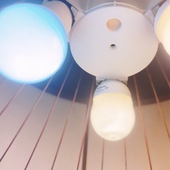 おしゃれなシェイドの照明の画像