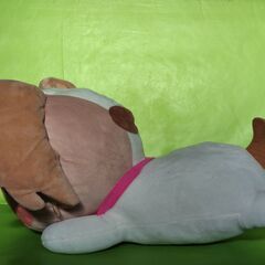 わんだふるぷりきゅあ！ こむぎ ぬいぐるみの画像