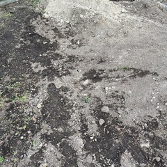 庭土
の画像