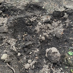 庭土
の画像
