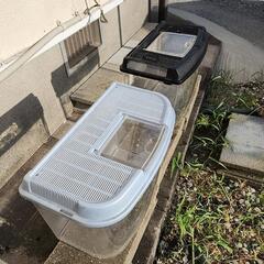 8月中に捨てます‼️ 虫かご カブトムシ 大容量‼️ の画像