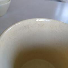 茶碗蒸し　取っ手付き呑水　とんすい　取っ手付き皿　昭和レトロの画像
