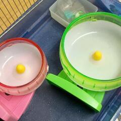 0820-116 ハムスター飼育用品の画像