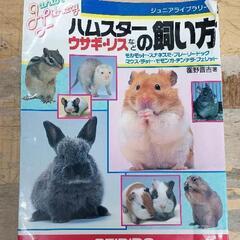 0820-116 ハムスター飼育用品の画像