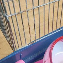 0820-116 ハムスター飼育用品の画像