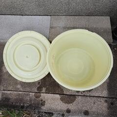 8月中に捨てます‼️ 漬物  容器 桶 大容量‼️ の画像