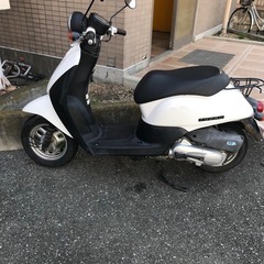 候補者決まりました‼️ホンダトゥデイ50ccの画像