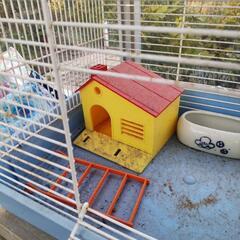 ハムスター小屋の画像