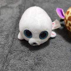 ぬいぐるみの画像