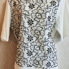 レディースTシャツの画像