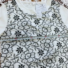 レディースTシャツの画像