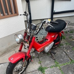 希少atシャリー 50の画像