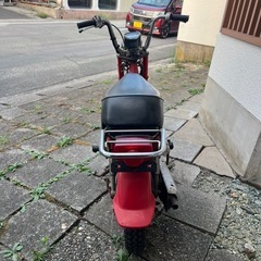 希少atシャリー 50の画像
