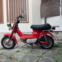 希少atシャリー 50の画像