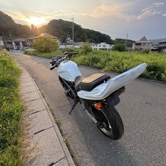書類付き バリオス250 1型 放置 現状 の画像