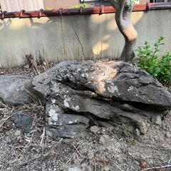 景石・庭石の画像