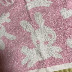ベビー宜しくタオルケット
の画像