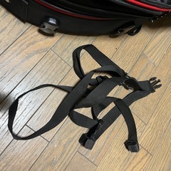 程度良好‼️デグナーアジャスターシートバックの画像